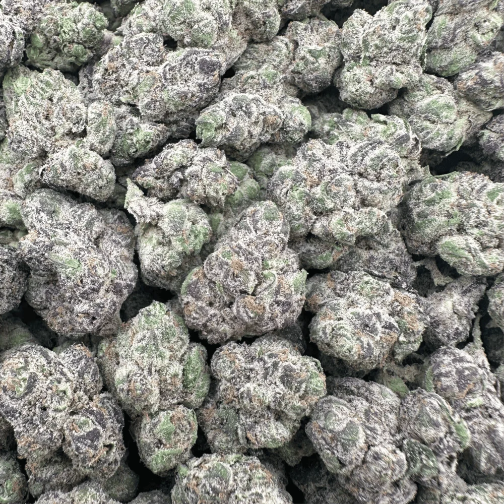 Apple Fritters - Hybrid – OUNCE SPECIAL