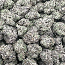 Apple Fritters - Hybrid – OUNCE SPECIAL