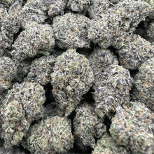 Biscotti - Hybrid