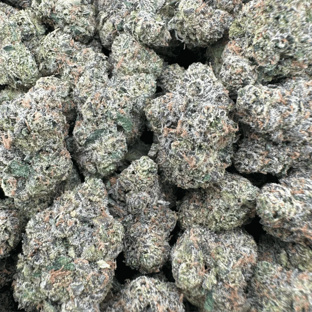 Black Gelato - Hybrid