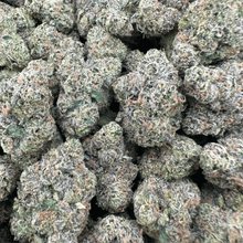 Black Gelato - Hybrid