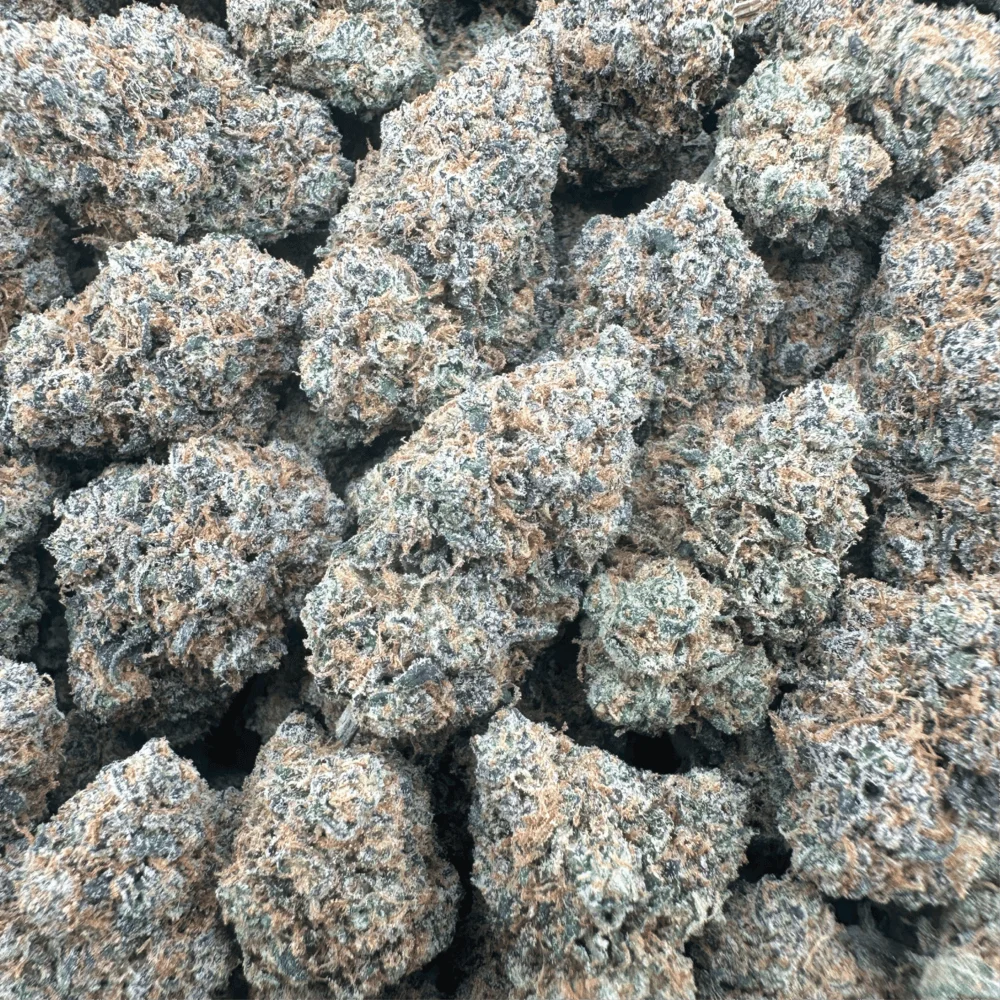 Black Widow - Hybrid – OUNCE SPECIAL