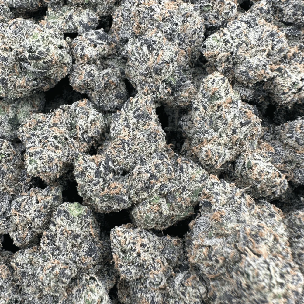 Blue Slushie - Indica – OUNCE SPECIAL