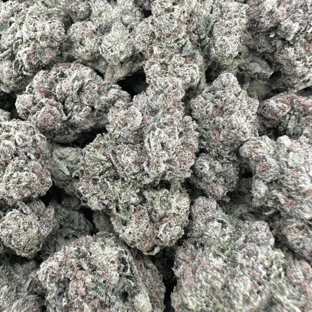 Candy Certz - Hybrid