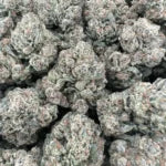 Cookie Monster - Hybrid – OUNCE SPECIAL