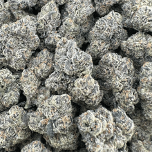 Gelatti - Indica