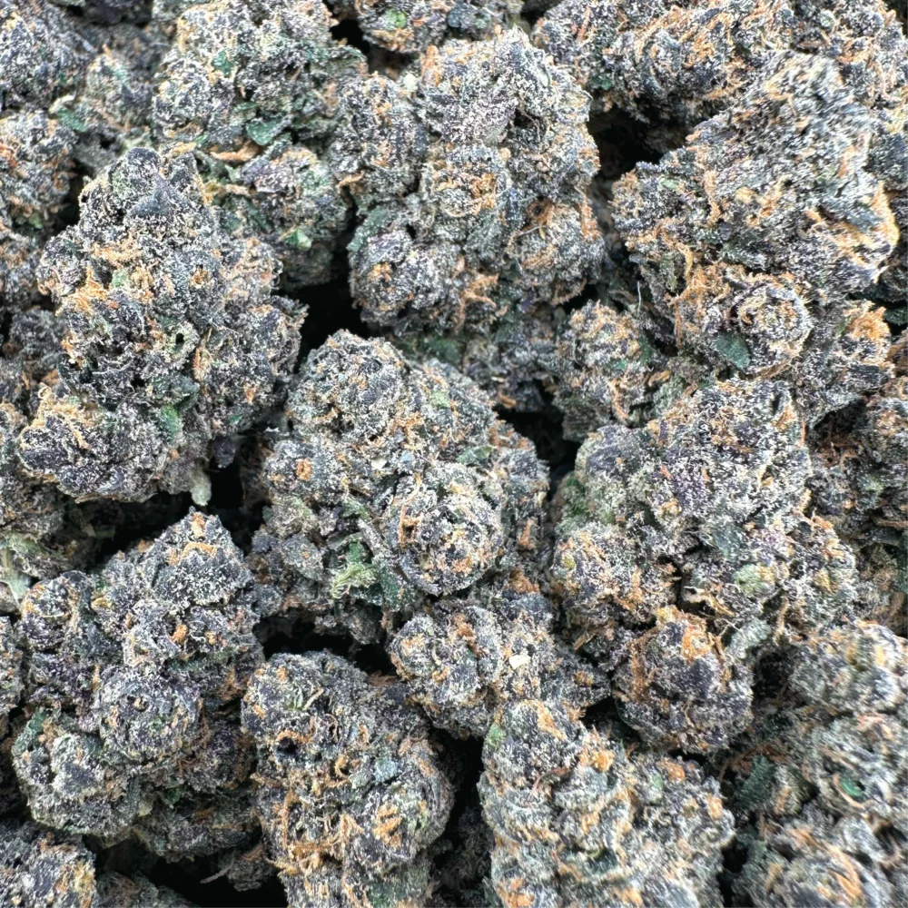 Gelonade - Hybrid