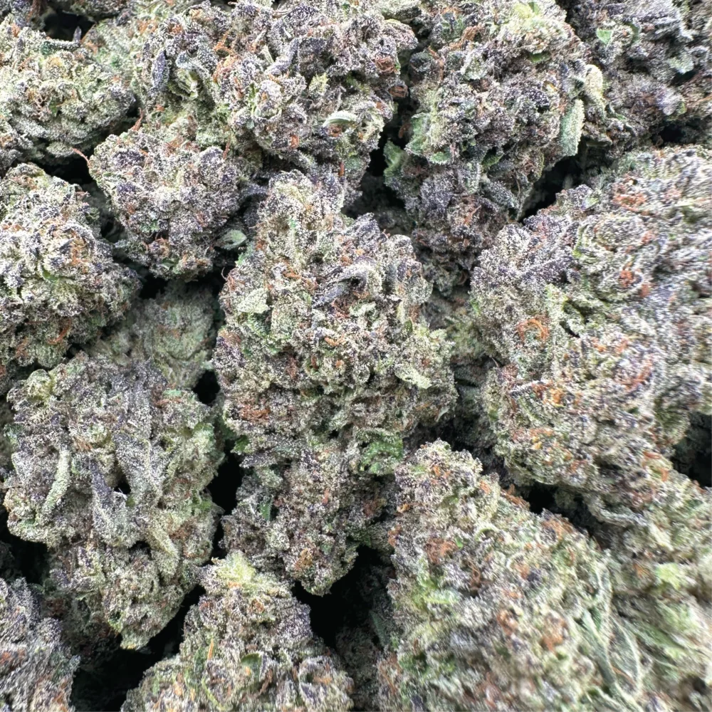 Ice Cream Cake - Hybrid
