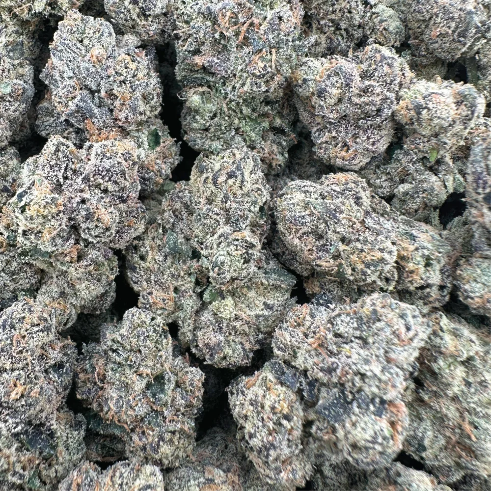 Lemon Cherry Gelato - Hybrid – OUNCE SPECIAL
