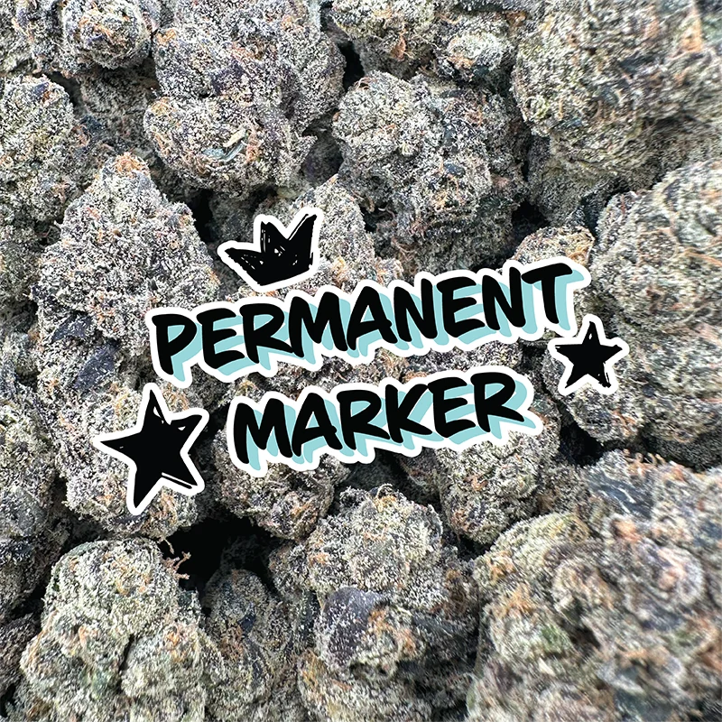 Permanent Marker - Indica