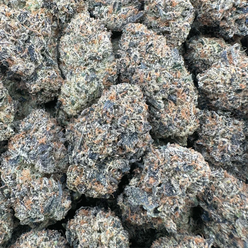 Sunset Sherbert - Hybrid