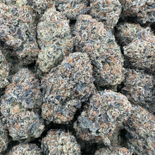 Sunset Sherbert - Hybrid
