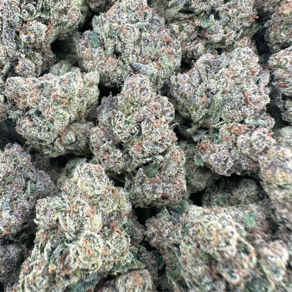 Tropical Runtz - Hybrid