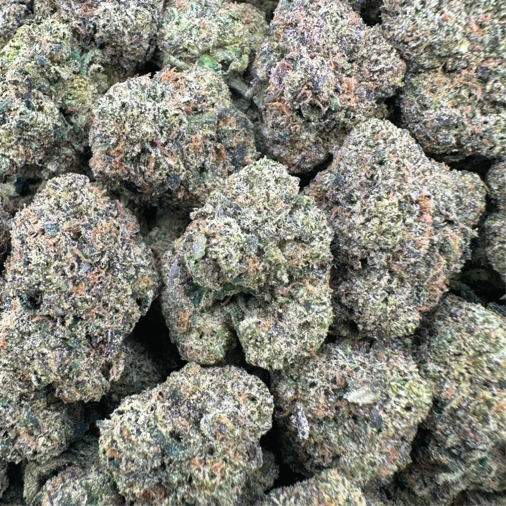 Watermelon Sherbert - Hybrid