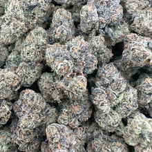 White Cherry Gelato - Hybrid