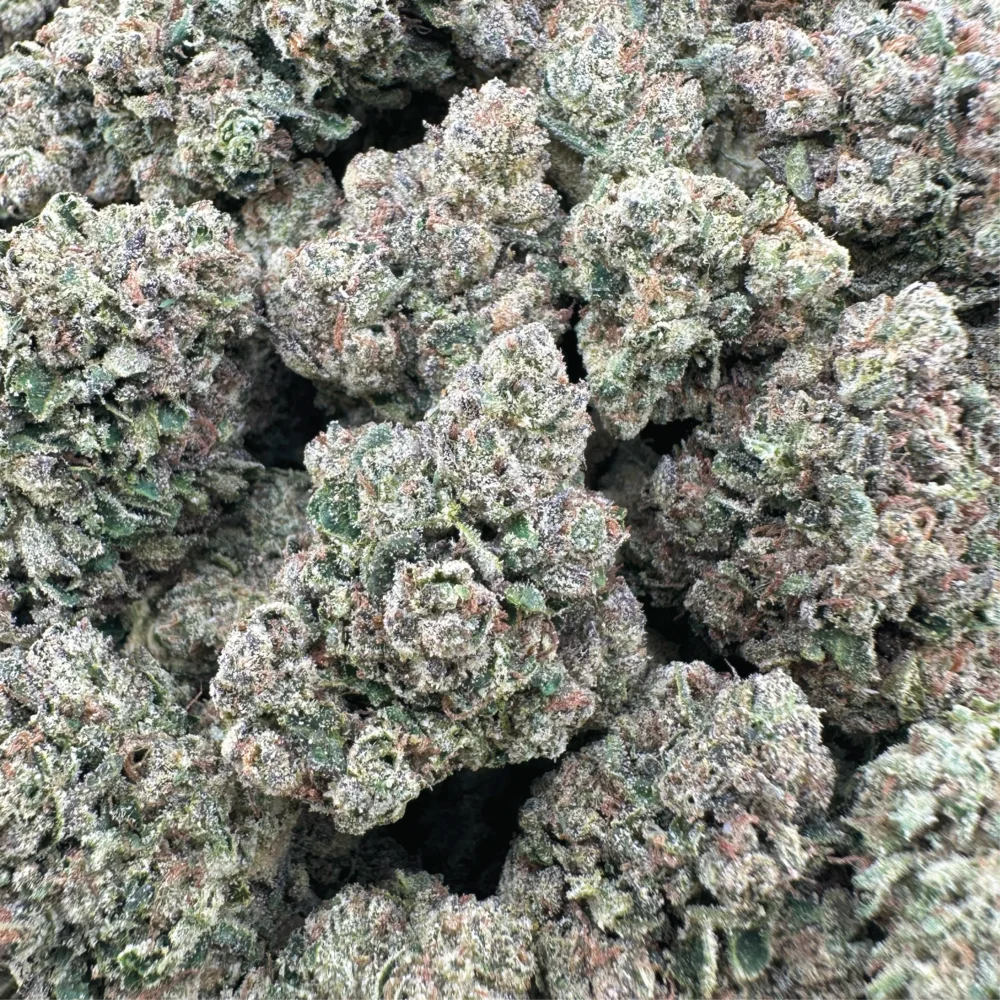 White Gusherz - Sativa – OUNCE SPECIAL
