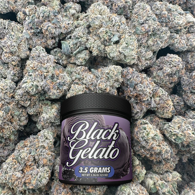 Black Gelato - Hybrid