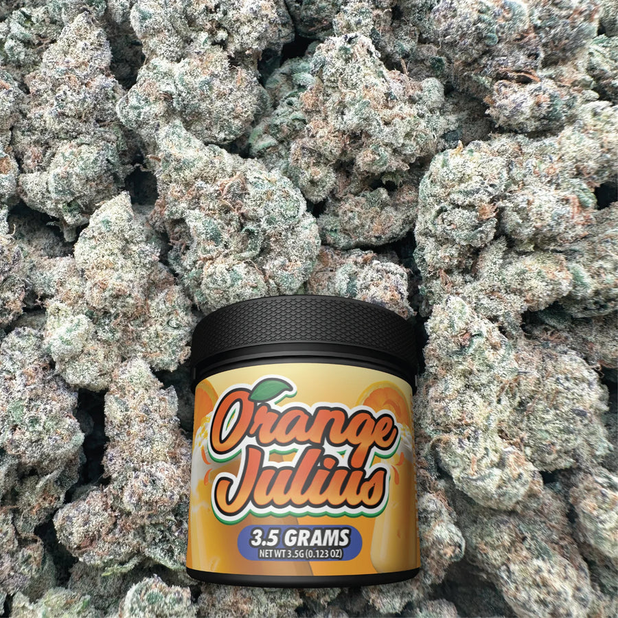 Orange Julius - Sativa