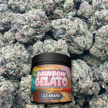 Rainbow Gelato - Hybrid