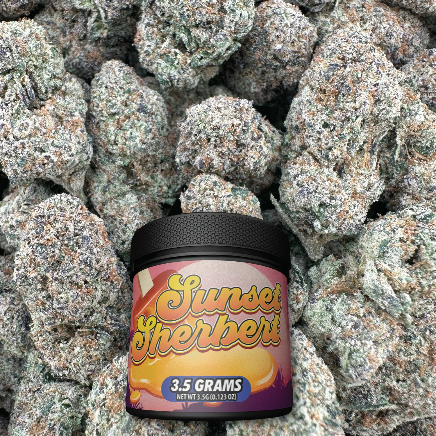 Sunset Sherbert - Hybrid