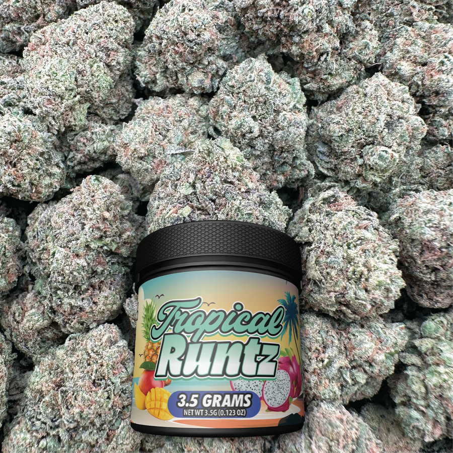 Tropical Runtz - Hybrid